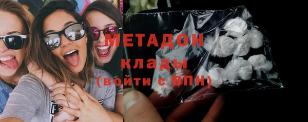 прущие грибы Новочеркасск