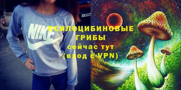 герыч Бородино