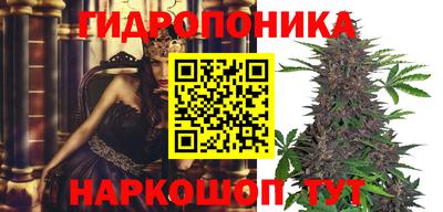 твердый Гусев