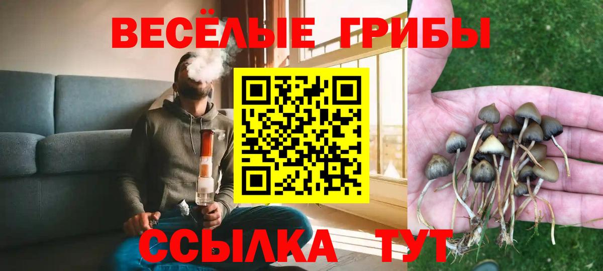 Галлюциногенные грибы GOLDEN TEACHER Гатчина