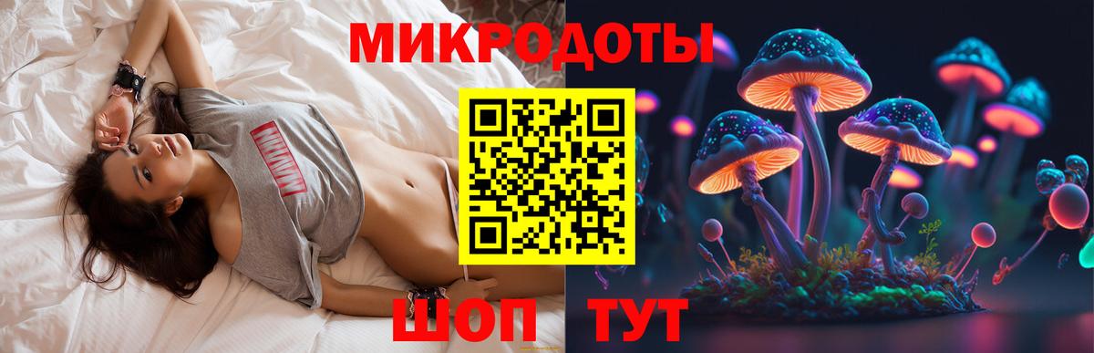Гатчина  Псилоцибиновые грибы Psilocybine cubensis  купить наркотики сайты  Вход с VPN  Галлюциногенные грибы Cubensis 